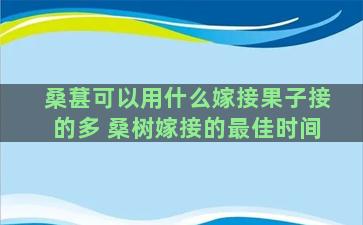 桑葚可以用什么嫁接果子接的多 桑树嫁接的最佳时间